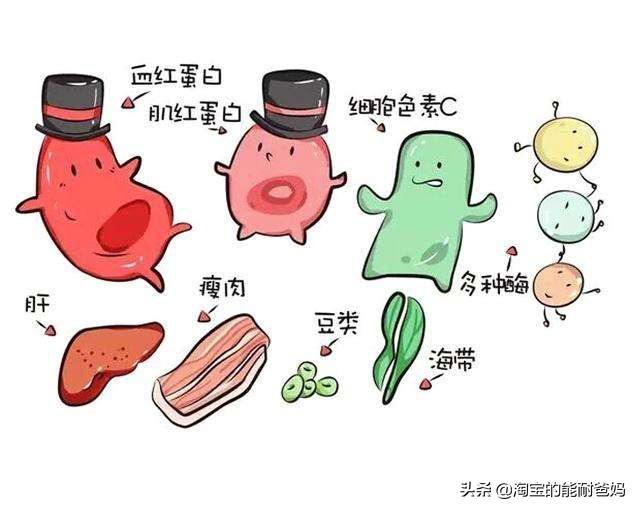 九个月宝宝贫血吃什么食物补血