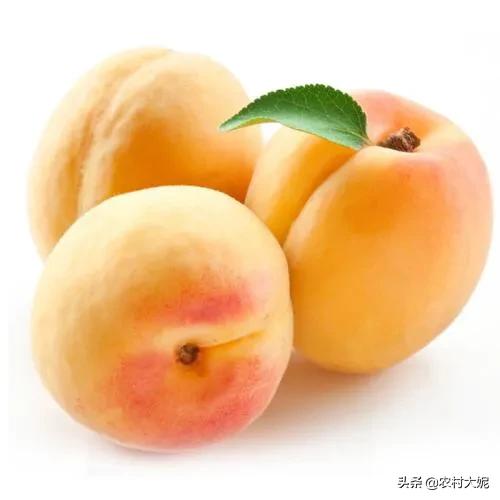 头条问答 - 临沂荒山种值什么果树前景好?(4个回答)