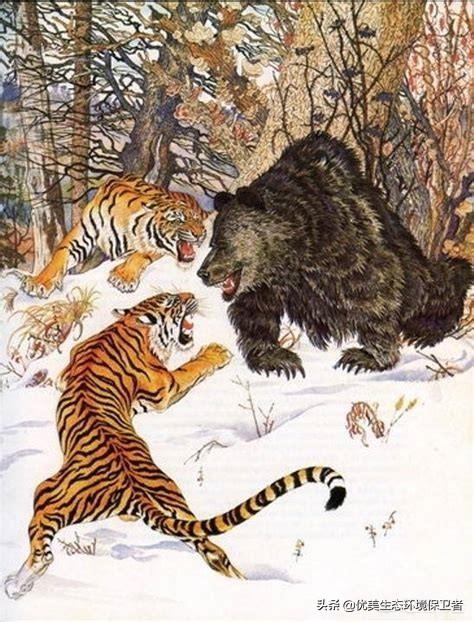 动物过冬图片:动物过冬图片卡通 世界上最不怕冷的动物都有哪些？