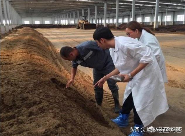 酵素菌发酵猪粪技术:生猪养猪场，粪便简易发酵最实惠、最省事的办法是什么？