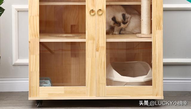 猫咪猎手6个混合装猫玩具:为什么有的猫咪明知道你是在用逗猫玩具逗它，它还是那么配合？