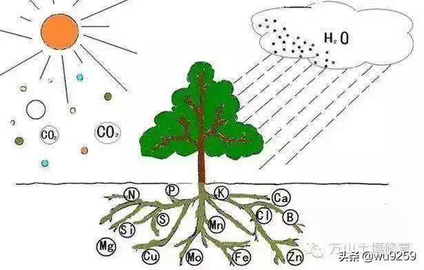 影响土壤健康的因素都有哪些？