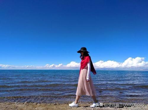 北京妈妈贵宾网:妈妈在家很孤独，想给老人家养一狗，有什么推荐吗？