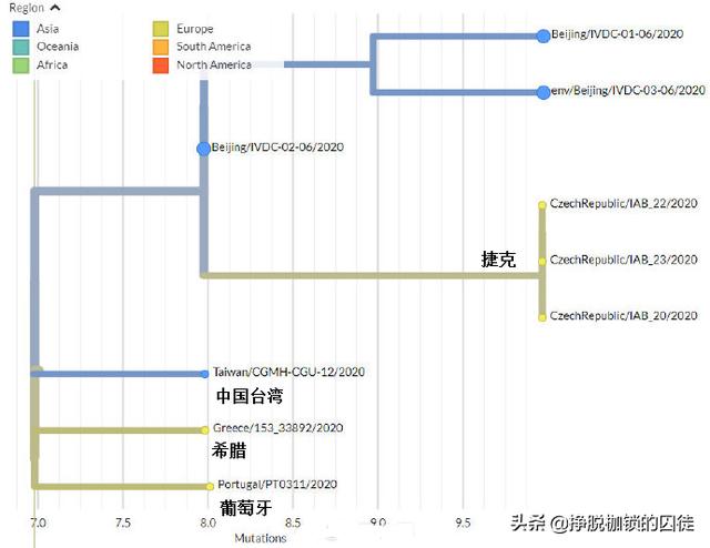 流行病毒:新发地检测出的病毒比现在欧洲流行的病毒更老，说明了什么？