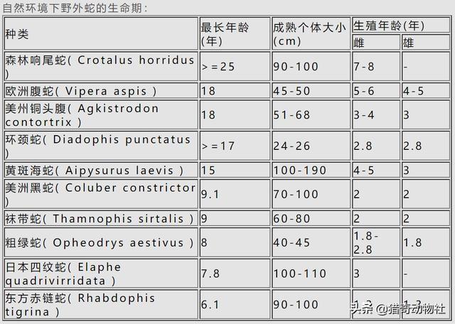 宠物蛇的寿命:宠物蛇一年可以交配几次？ 宠物蛇的寿命一般多少年