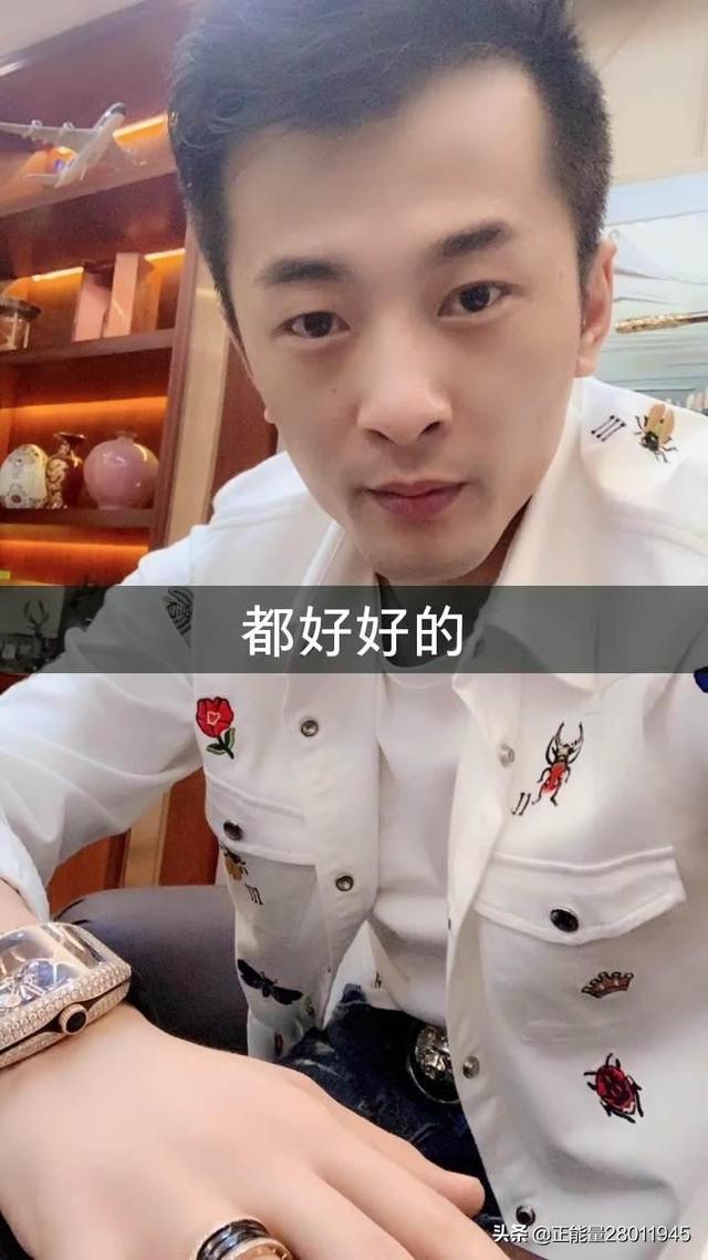 辛有志有多少个亿:辛有志的电商带货转折点在哪里？他能否再次华丽转身，重塑辉煌？