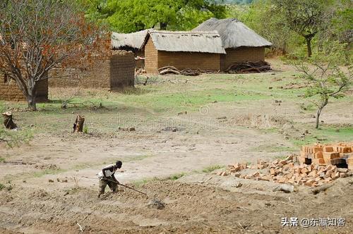 非洲土地广袤，为什么那里的人不种地，他们吃什么？插图22