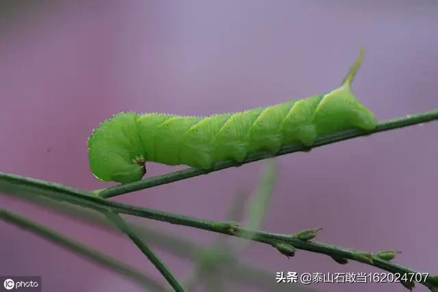 张劲夫逝世:如何评价科学家张首晟的英年早逝？
