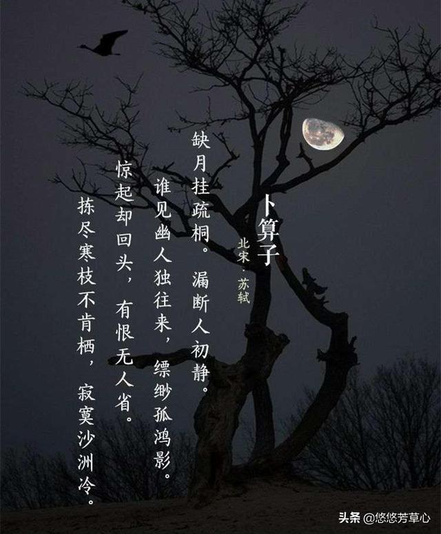 杨子诚×端木落月图片