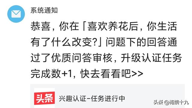 汪小茜:我想通过生活认证，可是我不会养花怎么办？