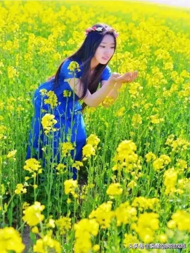 头条问答 花开堪折直须折 莫待无花空折枝 这两句用在感情上是指的什么 个回答