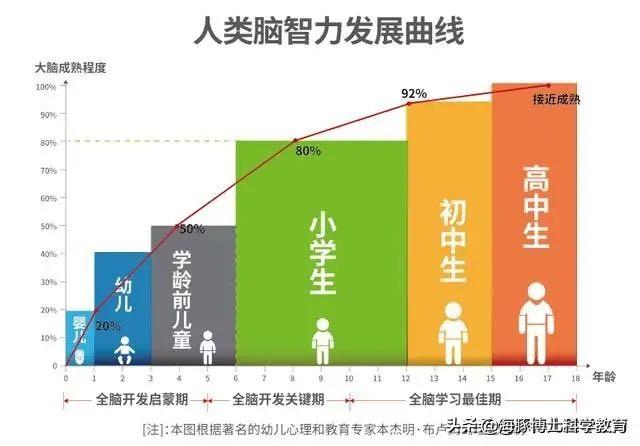 想让孩子去培训班学电脑编程,电脑编程主要教什么？