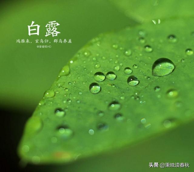 农村俗语有言“白露水、毒死人,寒露水、救世人。”这是什么意思？有道理吗？