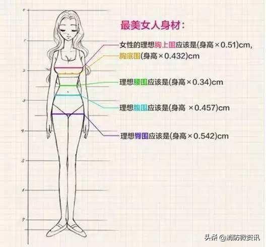 头条问答 为什么许多动物外形都是对称的 除了好看还有什么好处吗 消防微资讯的回答 0赞