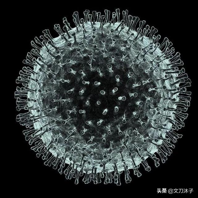 爆发的新冠状病毒会不会暗示人类将进入人工智能喂养的时代？