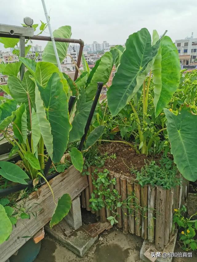 一看就暖心的头像:有没有类似的治愈系图片，在你不开心的时候看到事会很暖心？