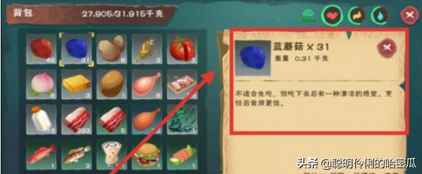 蜥蜴吃什么:创造与魔法红蜥蜴吃什么饲料？