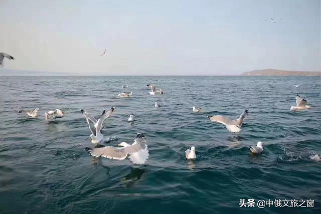 贝加尔湖畔的碧玉之灵,贝加尔湖旅游体验如何？值得去吗？