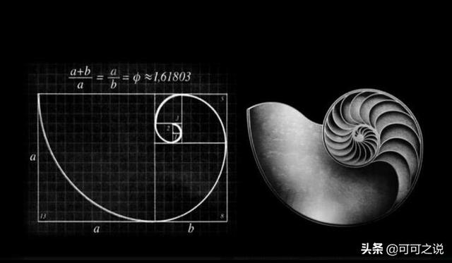 黄金螺旋线方程:数学上有哪些奇怪的函数或方程？