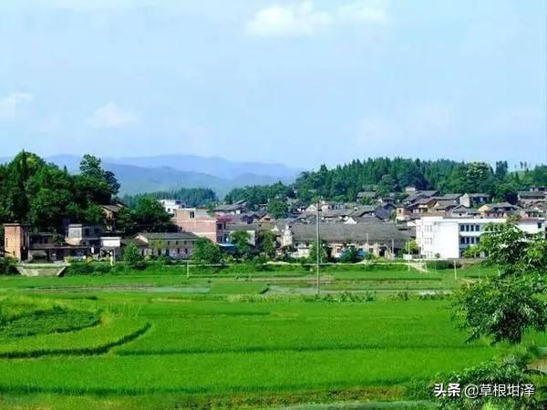 乡村振兴靠什么？-第3张图片-9158手机教程网