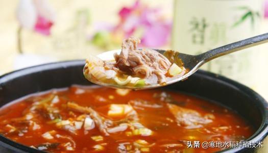 吉林延邊朝鮮族人民喜歡哪些下酒菜？