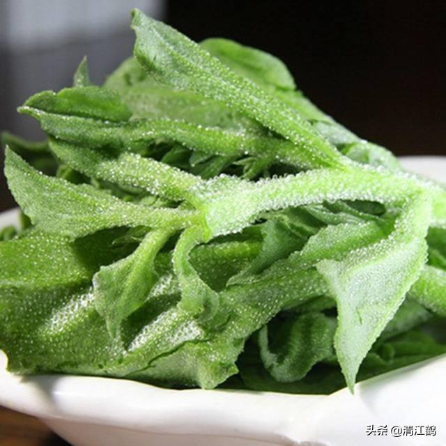 荒漠猫疥螨病的诊疗:南方种植什么最赚钱，南方山地适合种植什么？
