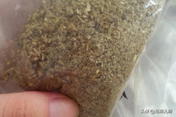 草饼:如何给荷兰猪兔子宠物做草饼的制作方法自制草饼？