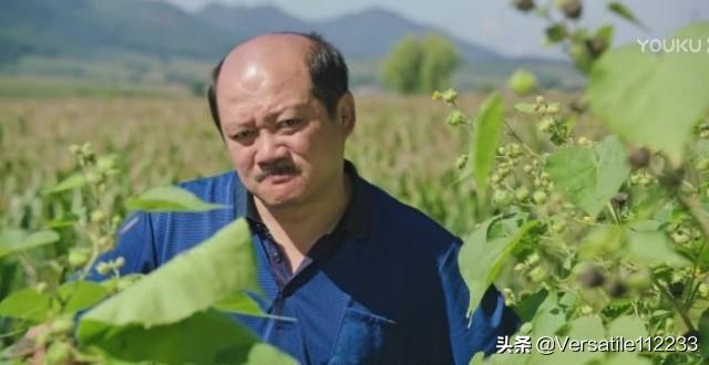 王老七拍谢广坤一锹,大家觉得过分吗？
