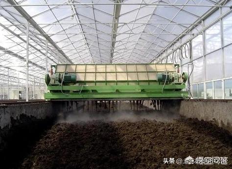 酵素菌发酵猪粪技术:生猪养猪场，粪便简易发酵最实惠、最省事的办法是什么？