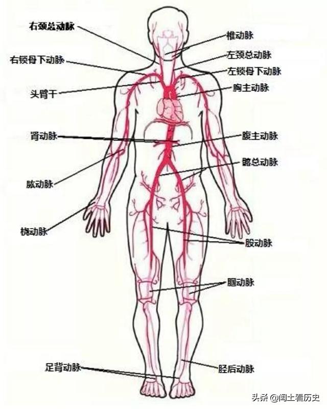 冷酷总裁高调宠:被妈妈打，跑和不跑的孩子长大后会有什么区别？