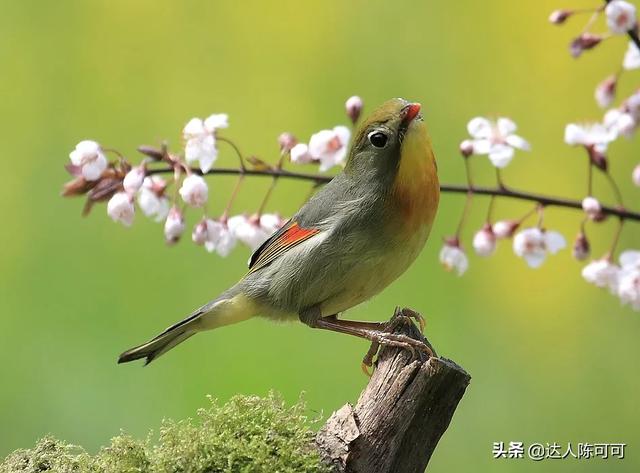 立春到了 农民认为立春是晴天好 还是雨天好 有道理吗 头条问答