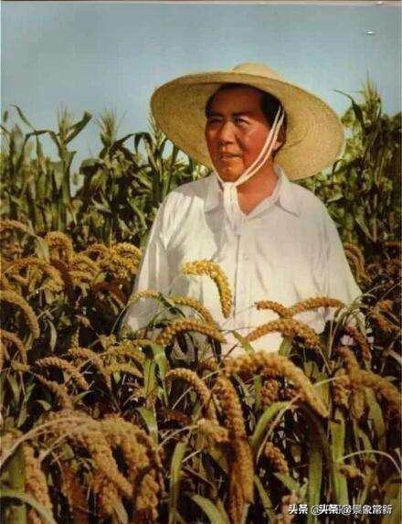 “水利是农业的命脉”,你认为这句话在当今农业中有现实意义吗？