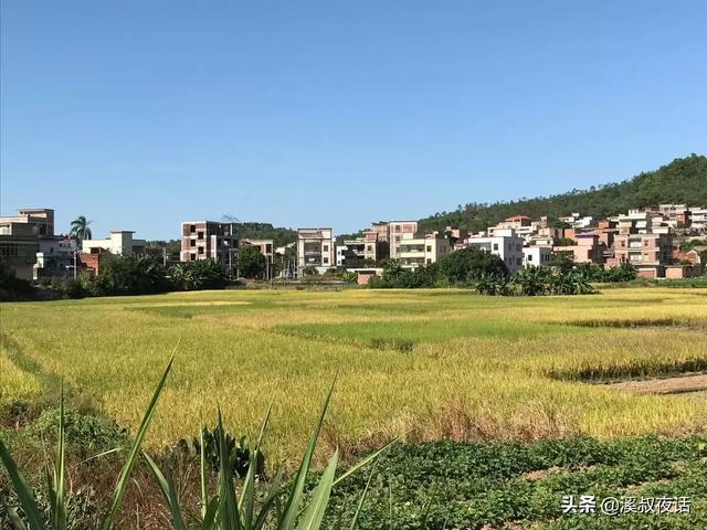 台山水步临时工<a href=https://maguai.com/list/63-0-0.html target=_blank class=infotextkey><a href=https://maguai.com/list/63-0-0.html target=_blank class=infotextkey>招聘</a></a>:广东省江门市台山市水步镇新塘村委会上新村邮编是什么？