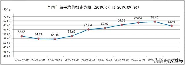 微型猪养殖:建一个小型养殖场多少钱？