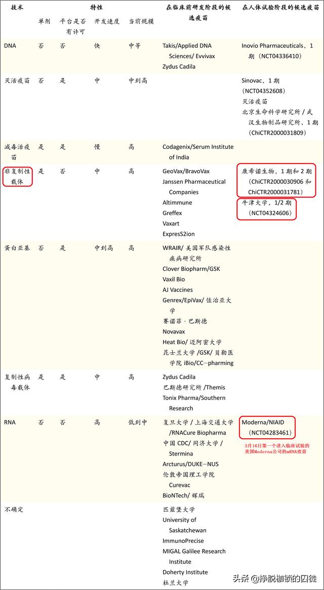 疫苗新冠病毒研发成功,新冠病毒的疫苗研发进展如何