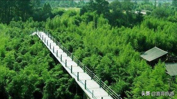 浙江安吉:准备一家五口去安吉玩一个星期，安利一下攻略吧，吃住玩都需要？