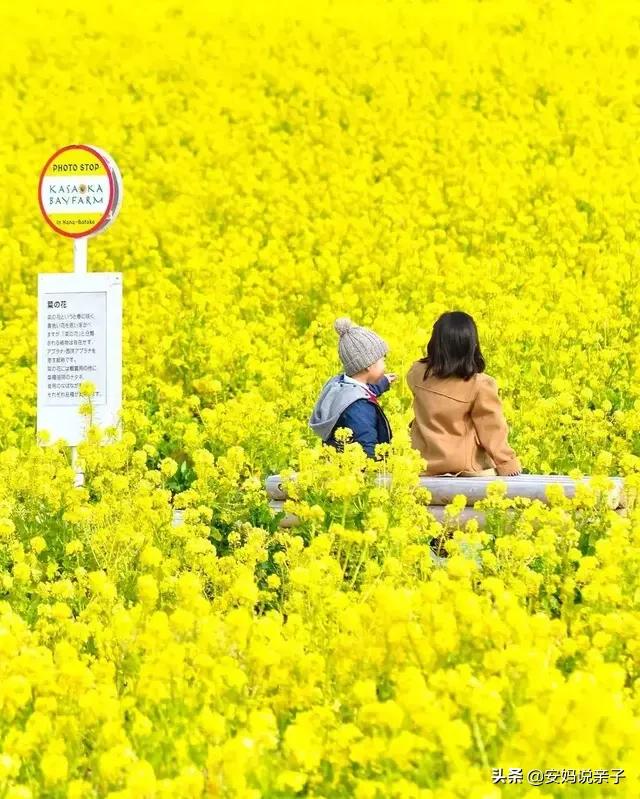 当六岁的孩子说「妈妈,我在学校没有朋友,同学们都不喜欢我」,身为妈妈,要怎么帮助孩子？