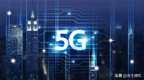 成都加菲猫高清图片:你认为现在可以换5G手机了吗？