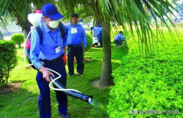 “四害”对人类有哪些危害？它们会传播疾病吗？