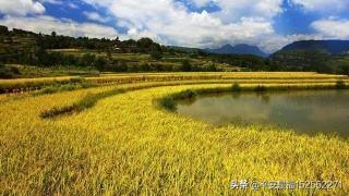 我们农民最想要的生活,环境是什么样的？