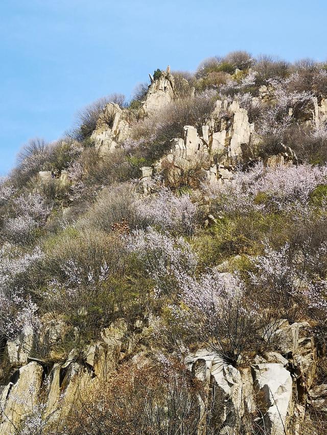 唐苑演员:西安有哪些地方是本地人常去，而外地人基本不知道的景点？