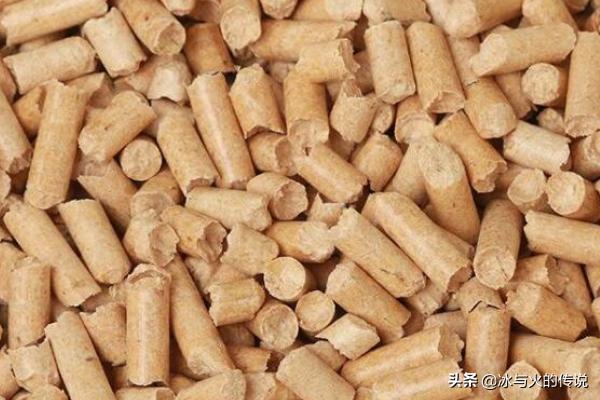 猫砂购买:常用的几款猫砂有何特点？