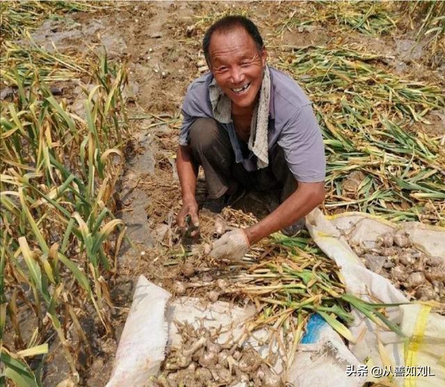 贺树峰个人资料:为什么赵本山允许徒弟们通过直播捞金，而郭德纲却不允许