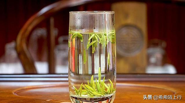 泡绿茶的正确方式是什么？