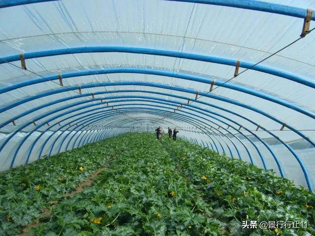 头条问答 什么叫地下大棚 起点农业的回答 0赞