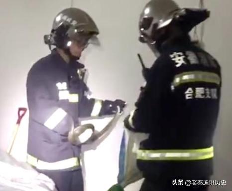 贵州菜花蛇图片:一条5米长的菜花蛇，和一条五米长的眼镜王蛇，相遇会怎样？