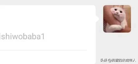 你见过什么有趣的微信号？