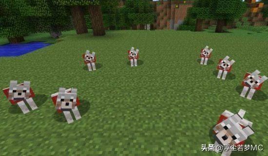 我的世界怎样驯服狼？
