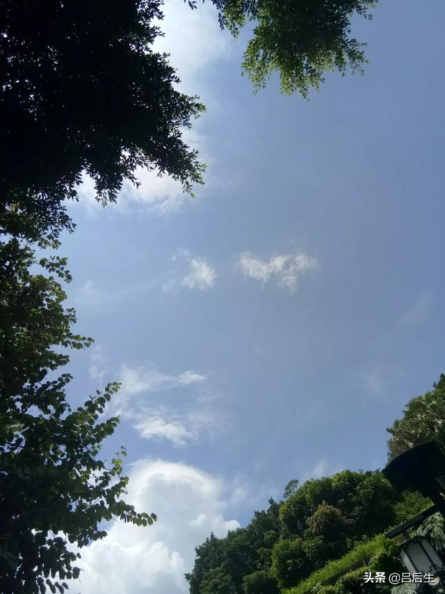 发型是靠脸型还是长相？