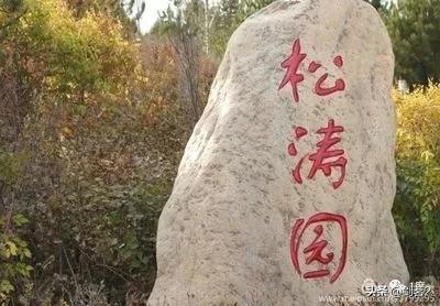 山西右玉:去山西右玉有什么好玩的好吃的推荐？